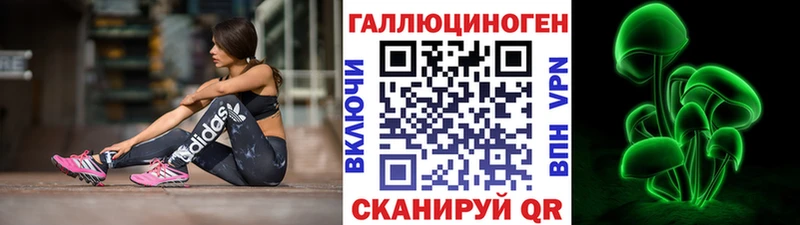 дарк нет клад Миллерово Псилоцибиновые грибы Psilocybe